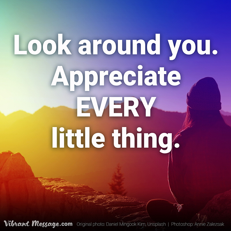 Look around you. Appreciate every little thing.